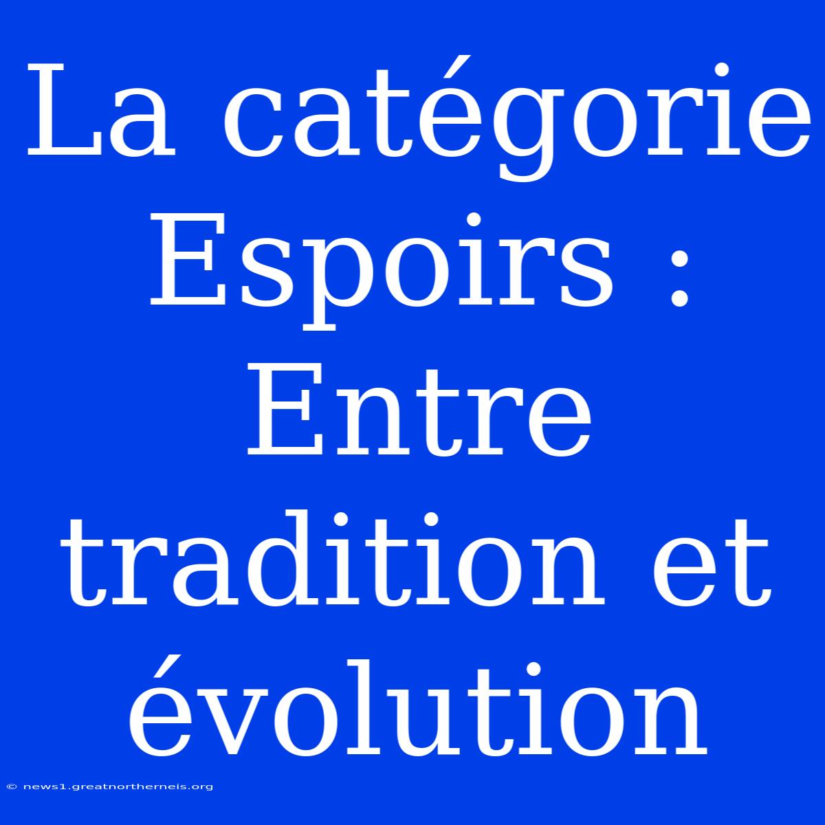 La Catégorie Espoirs : Entre Tradition Et Évolution