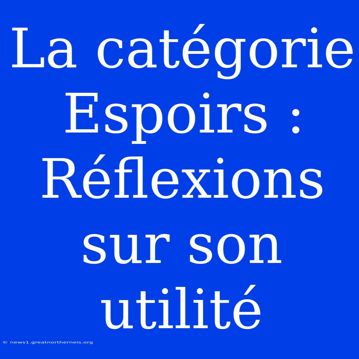 La Catégorie Espoirs : Réflexions Sur Son Utilité