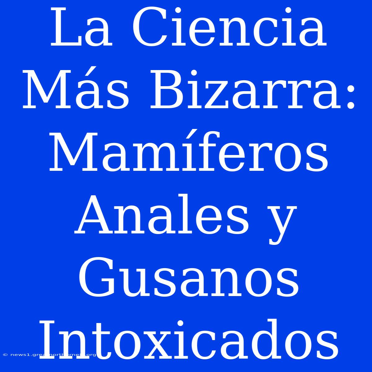 La Ciencia Más Bizarra: Mamíferos Anales Y Gusanos Intoxicados