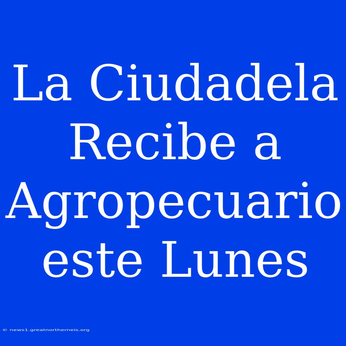 La Ciudadela Recibe A Agropecuario Este Lunes