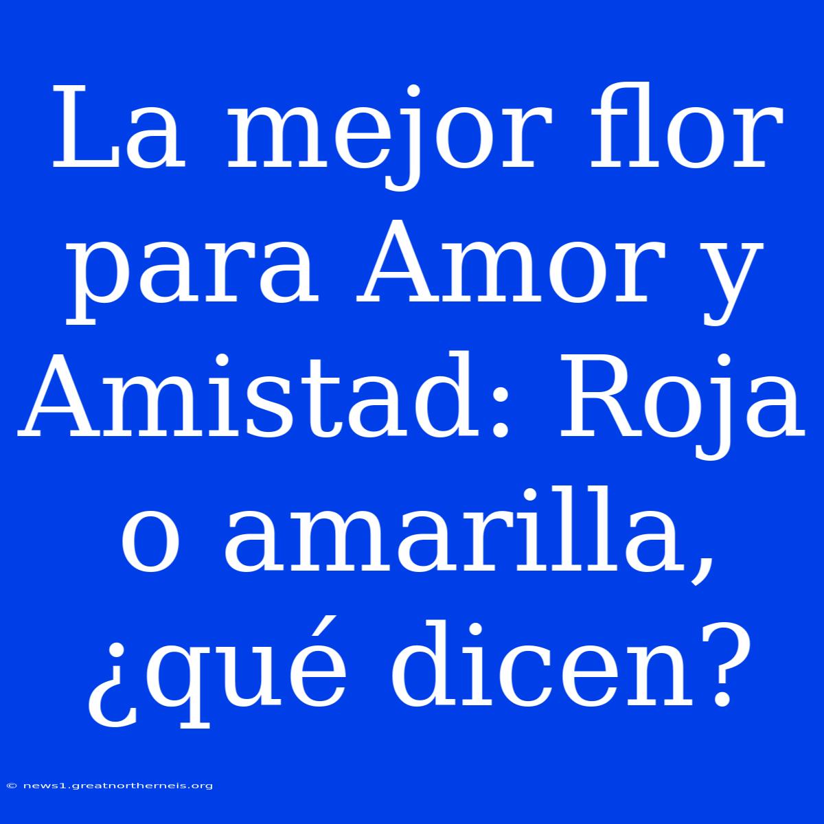 La Mejor Flor Para Amor Y Amistad: Roja O Amarilla, ¿qué Dicen?