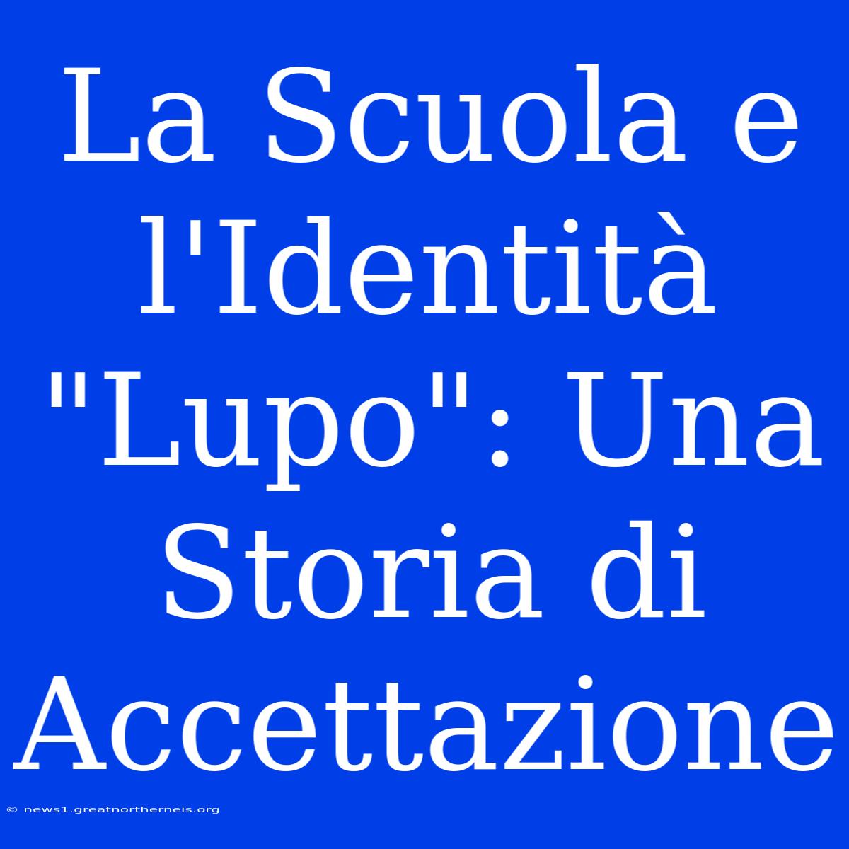 La Scuola E L'Identità 