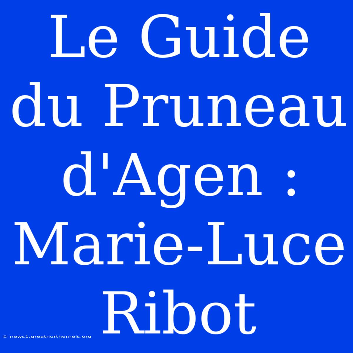 Le Guide Du Pruneau D'Agen : Marie-Luce Ribot