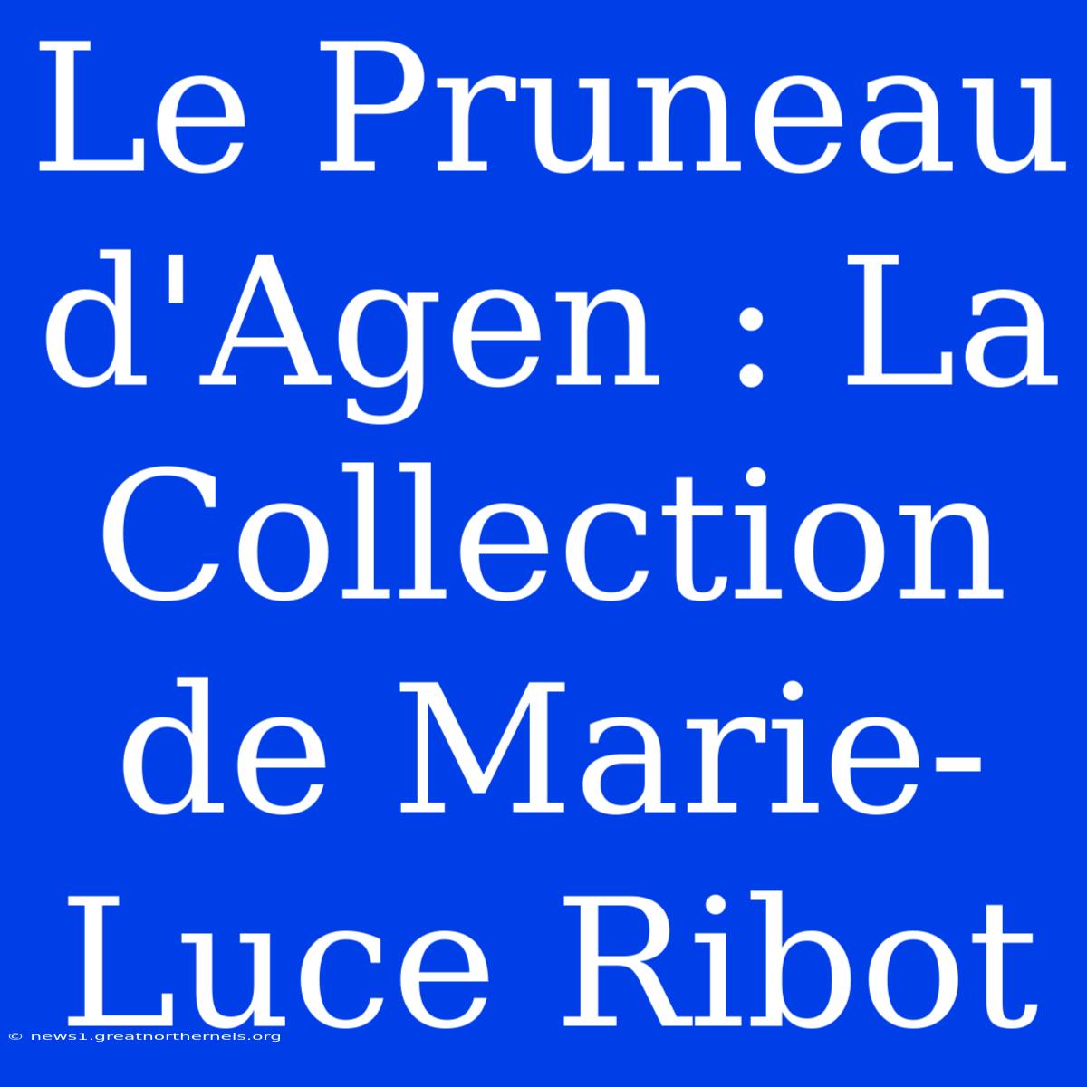 Le Pruneau D'Agen : La Collection De Marie-Luce Ribot