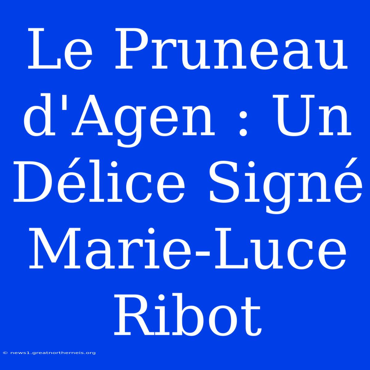 Le Pruneau D'Agen : Un Délice Signé Marie-Luce Ribot