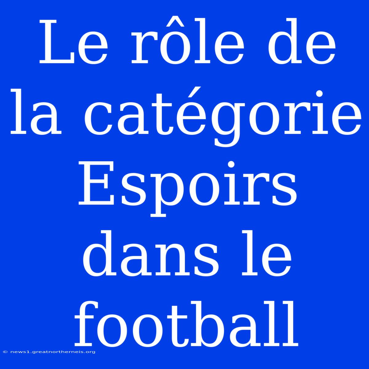 Le Rôle De La Catégorie Espoirs Dans Le Football