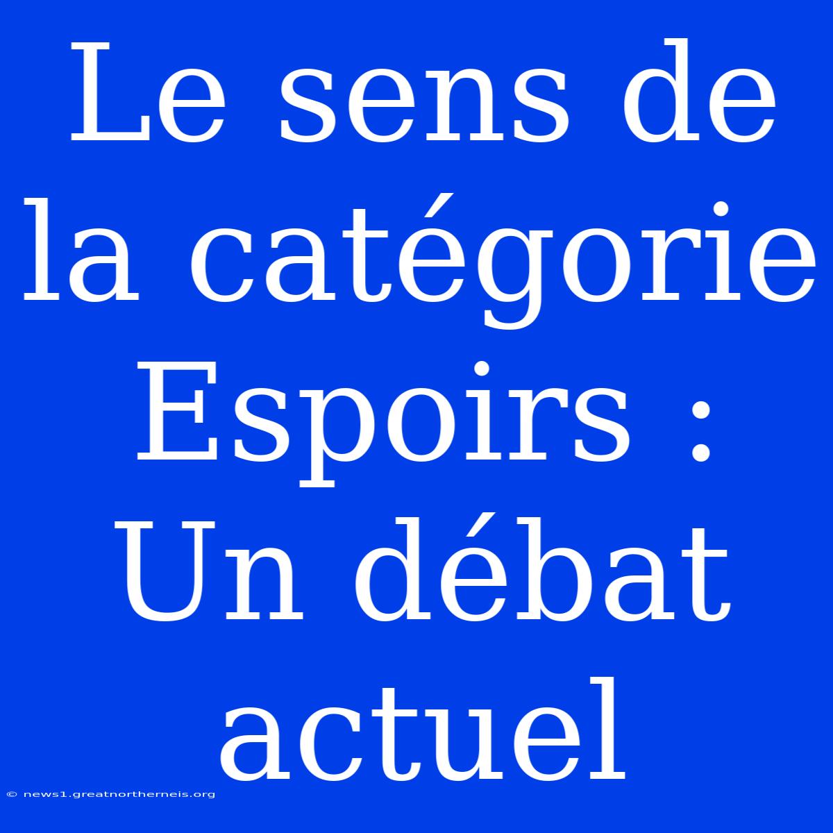 Le Sens De La Catégorie Espoirs : Un Débat Actuel