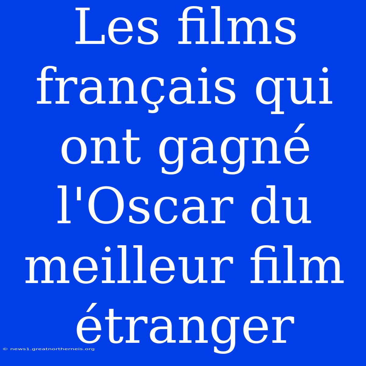 Les Films Français Qui Ont Gagné L'Oscar Du Meilleur Film Étranger