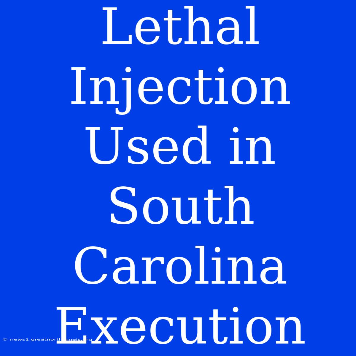 Lethal Injection Used In South Carolina Execution