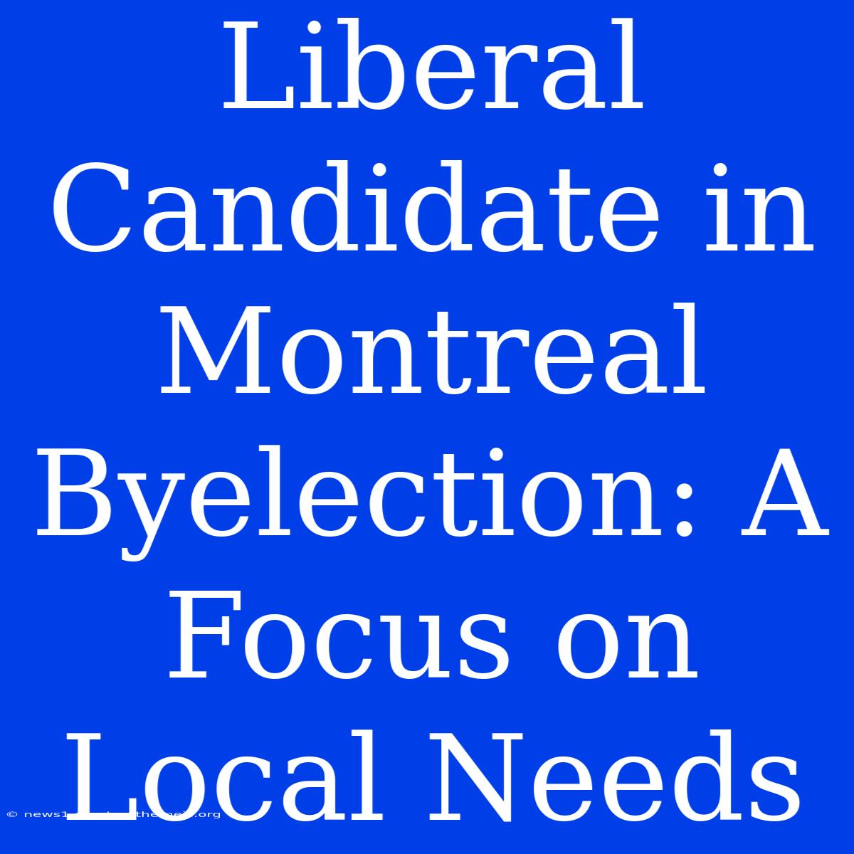 Liberal Candidate In Montreal Byelection: A Focus On Local Needs