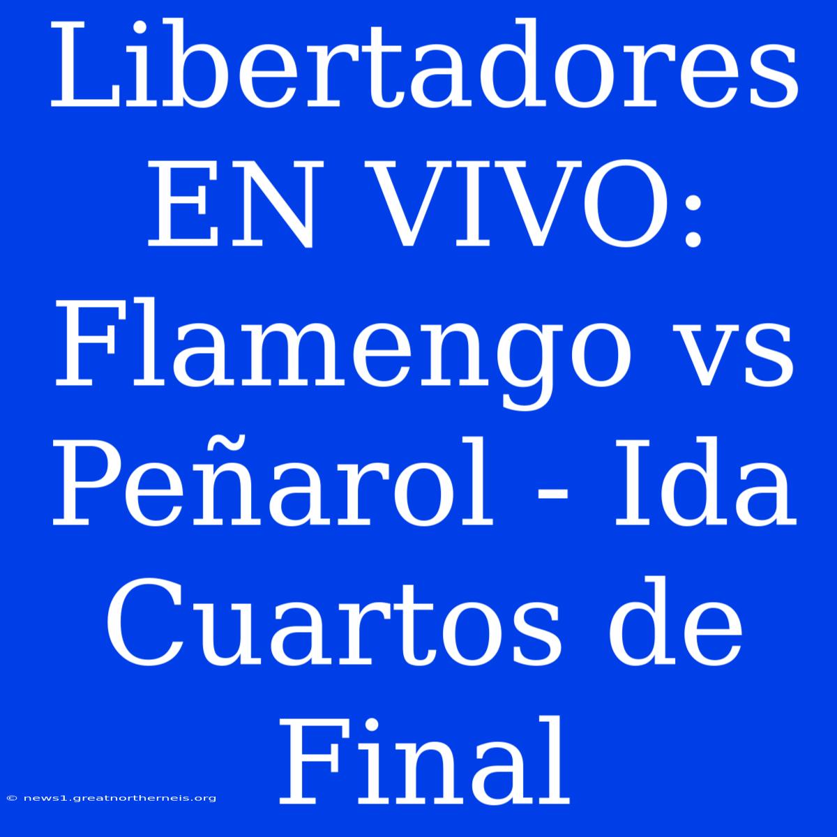 Libertadores EN VIVO: Flamengo Vs Peñarol - Ida Cuartos De Final