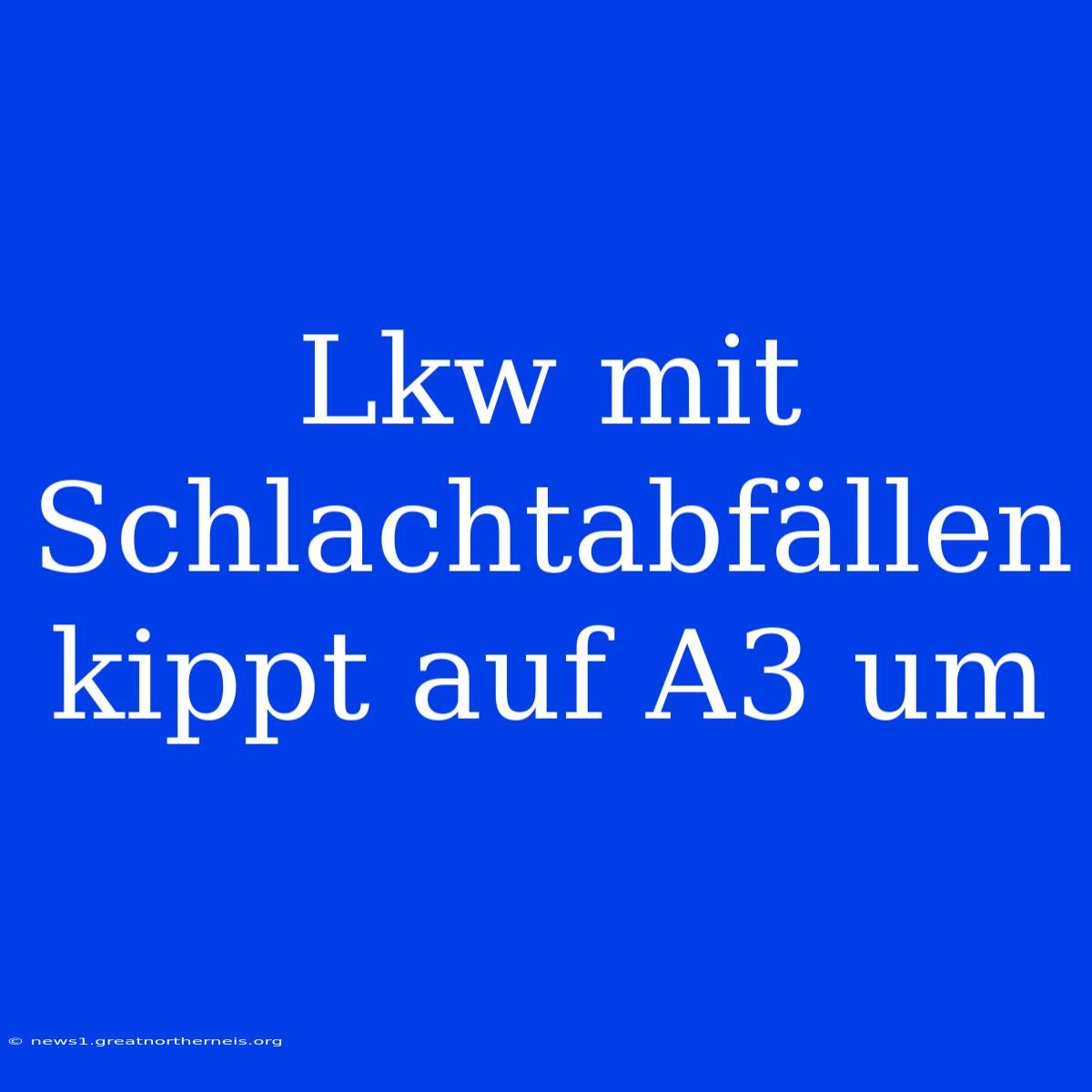 Lkw Mit Schlachtabfällen Kippt Auf A3 Um