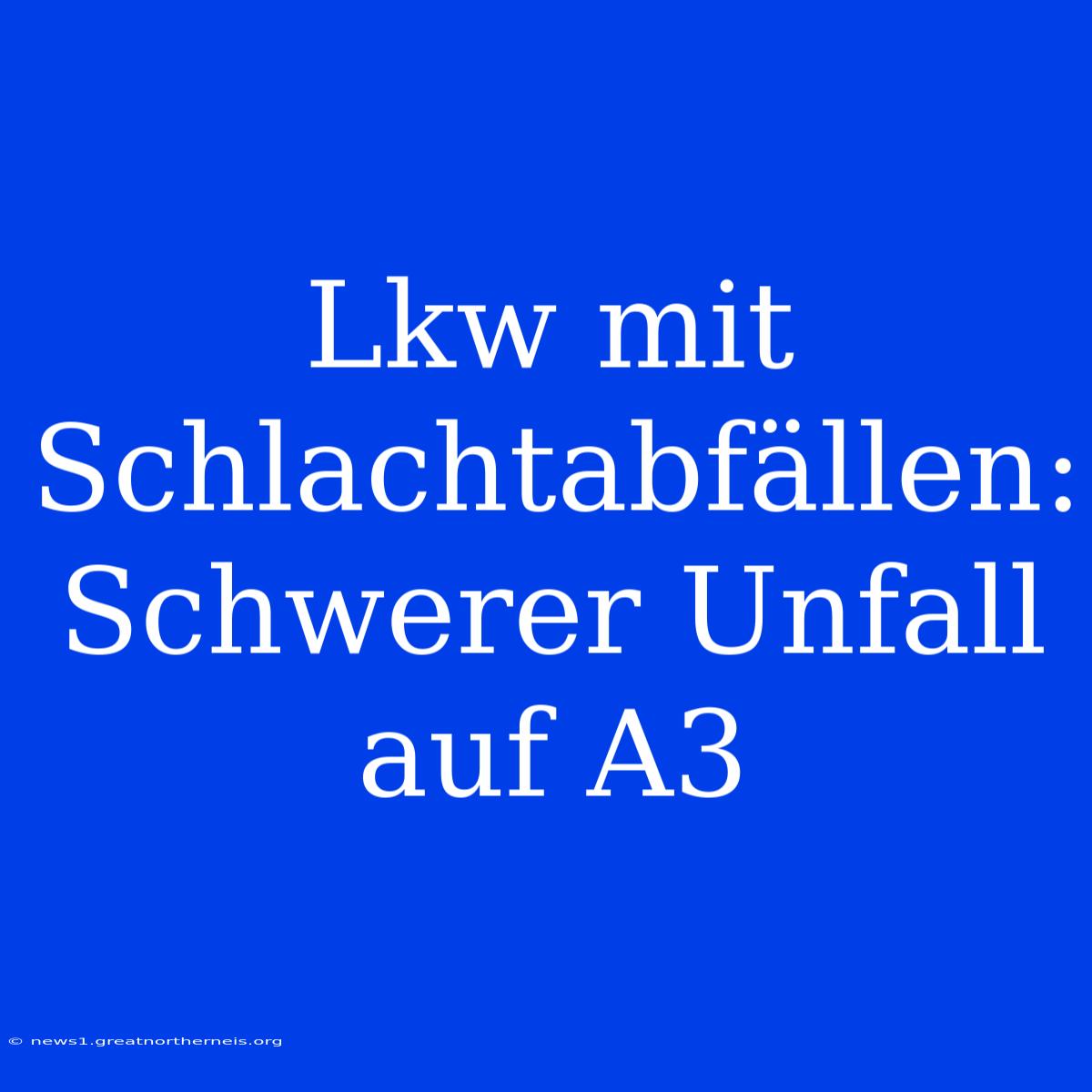 Lkw Mit Schlachtabfällen: Schwerer Unfall Auf A3