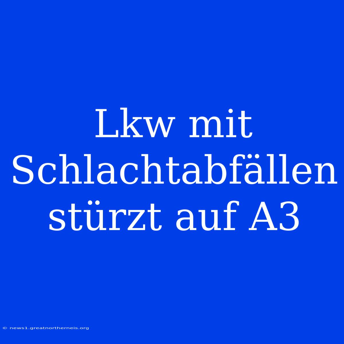 Lkw Mit Schlachtabfällen Stürzt Auf A3