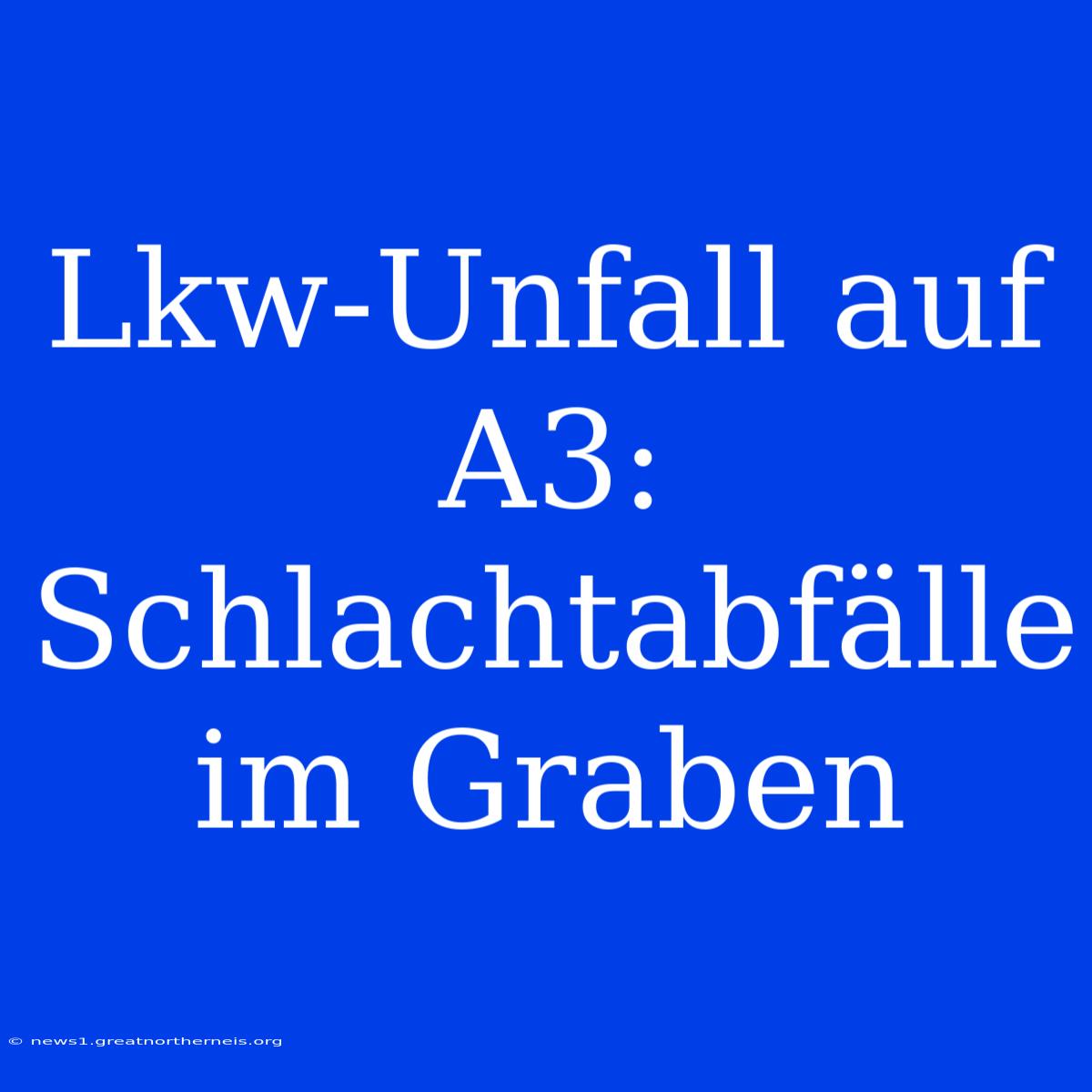 Lkw-Unfall Auf A3: Schlachtabfälle Im Graben