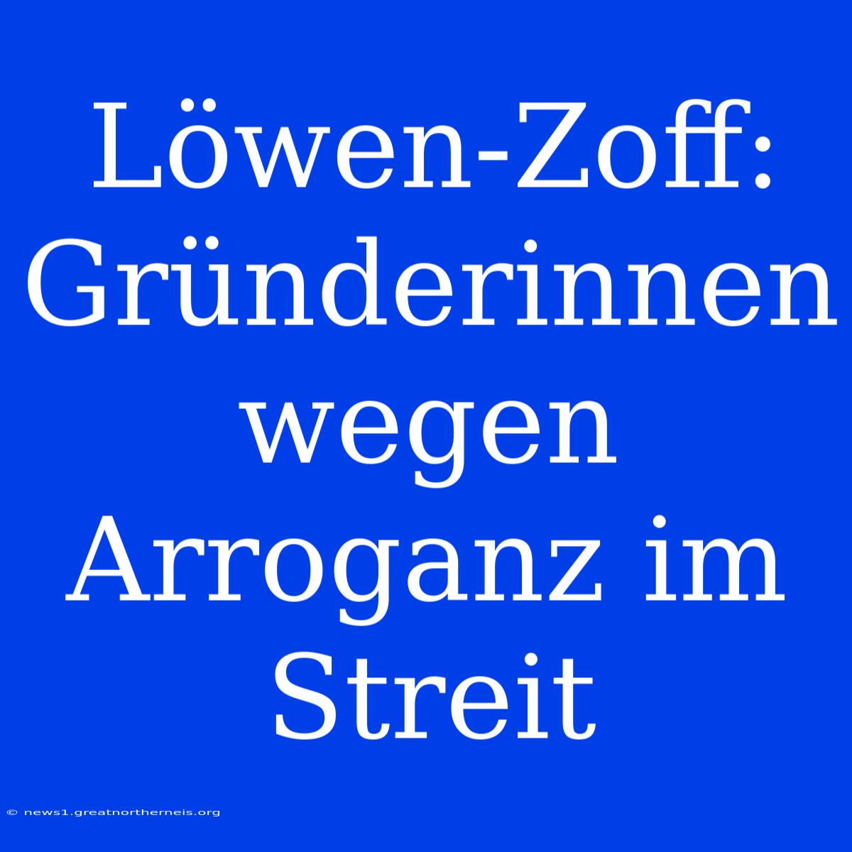 Löwen-Zoff: Gründerinnen Wegen Arroganz Im Streit