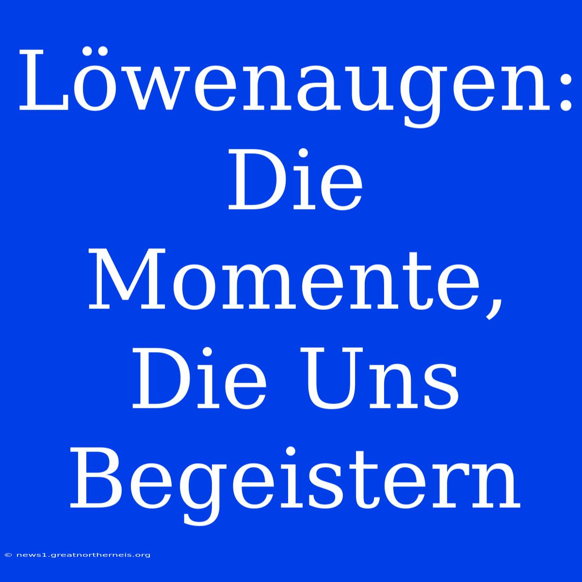 Löwenaugen: Die Momente, Die Uns Begeistern