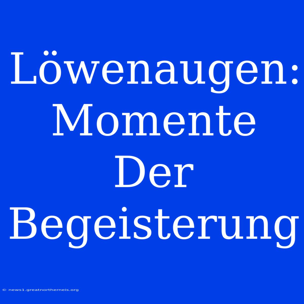 Löwenaugen: Momente Der Begeisterung