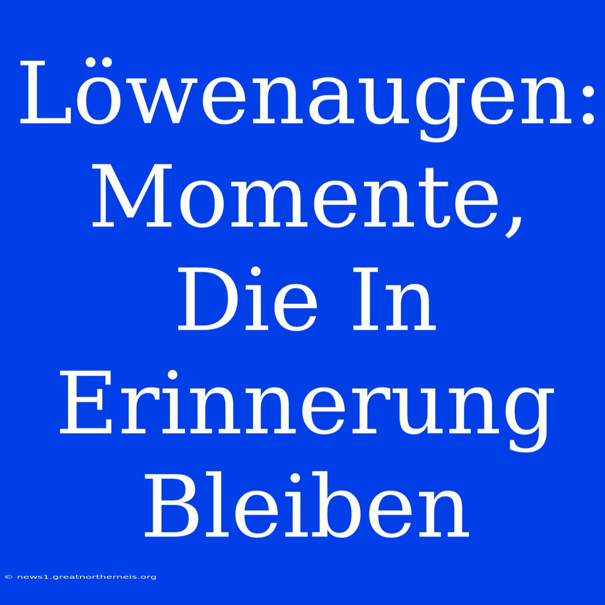 Löwenaugen: Momente, Die In Erinnerung Bleiben