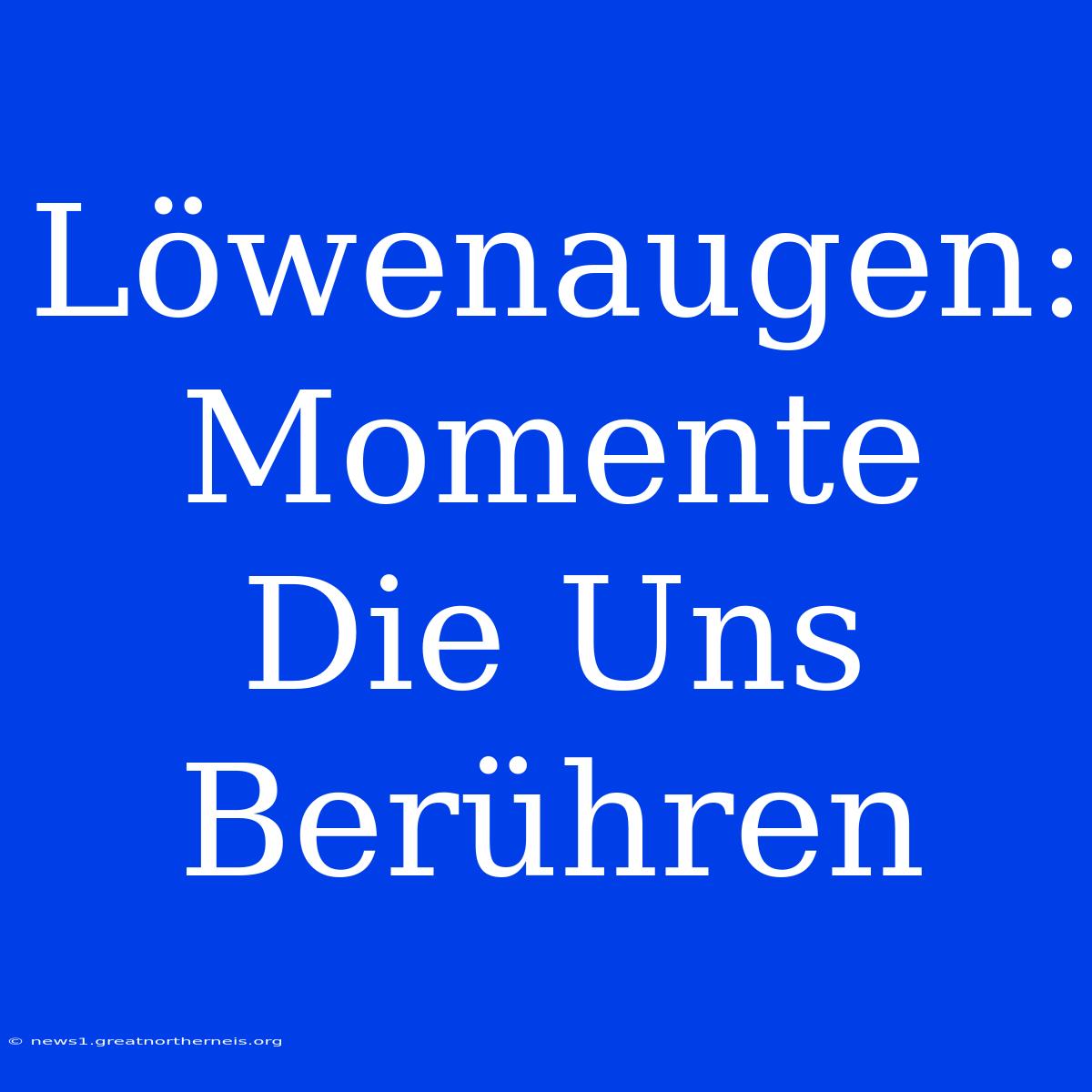 Löwenaugen: Momente Die Uns Berühren