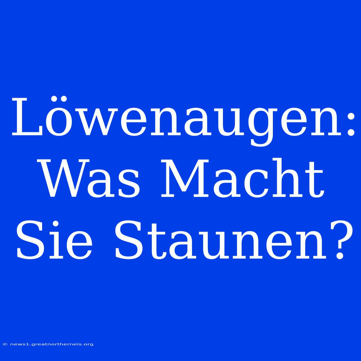 Löwenaugen: Was Macht Sie Staunen?