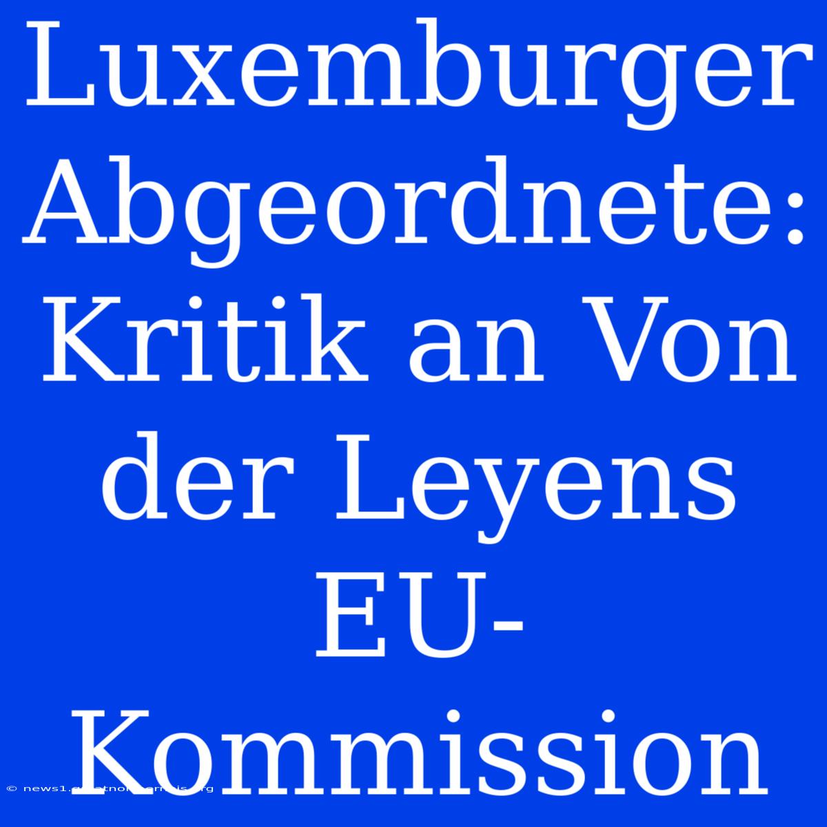 Luxemburger Abgeordnete: Kritik An Von Der Leyens EU-Kommission