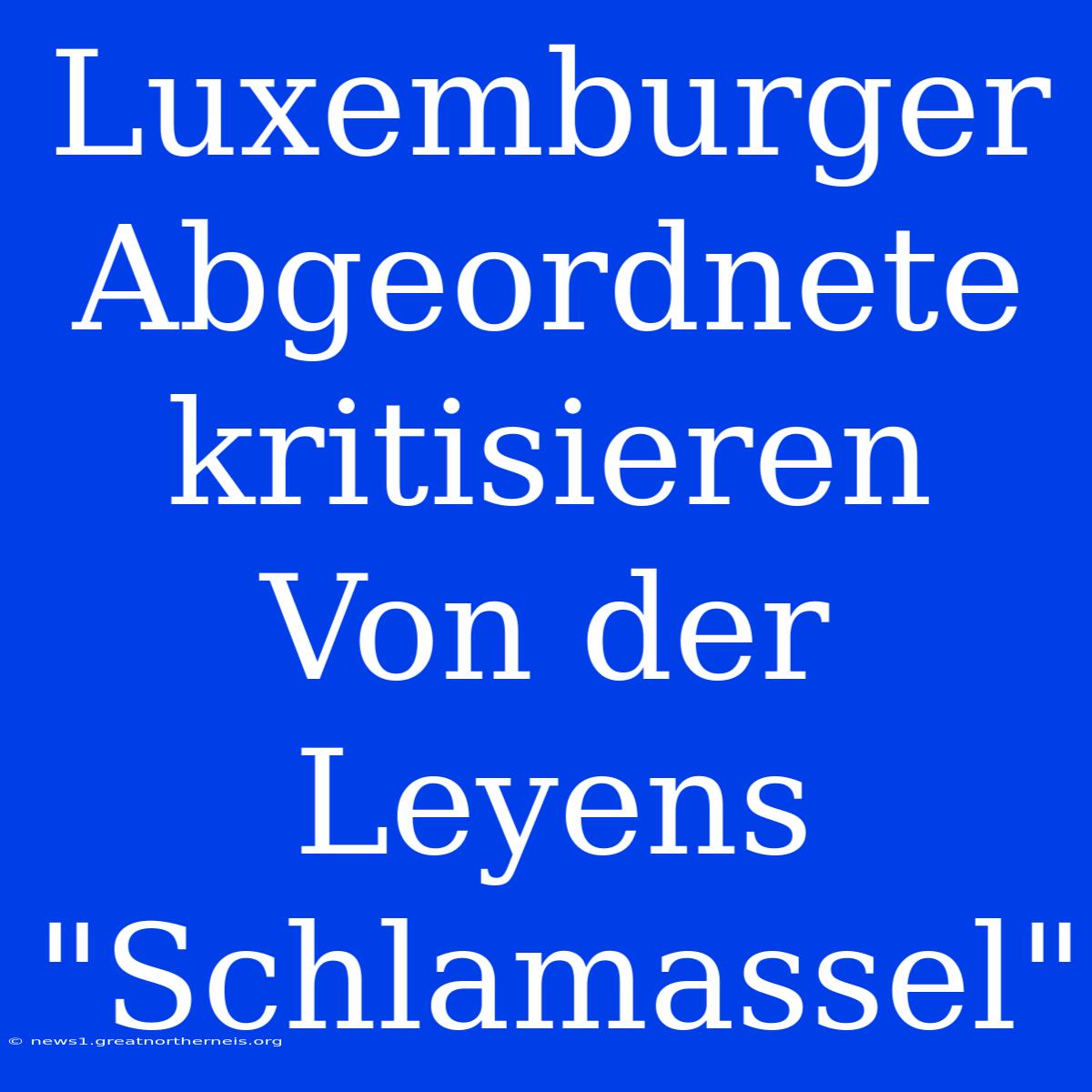 Luxemburger Abgeordnete Kritisieren Von Der Leyens 