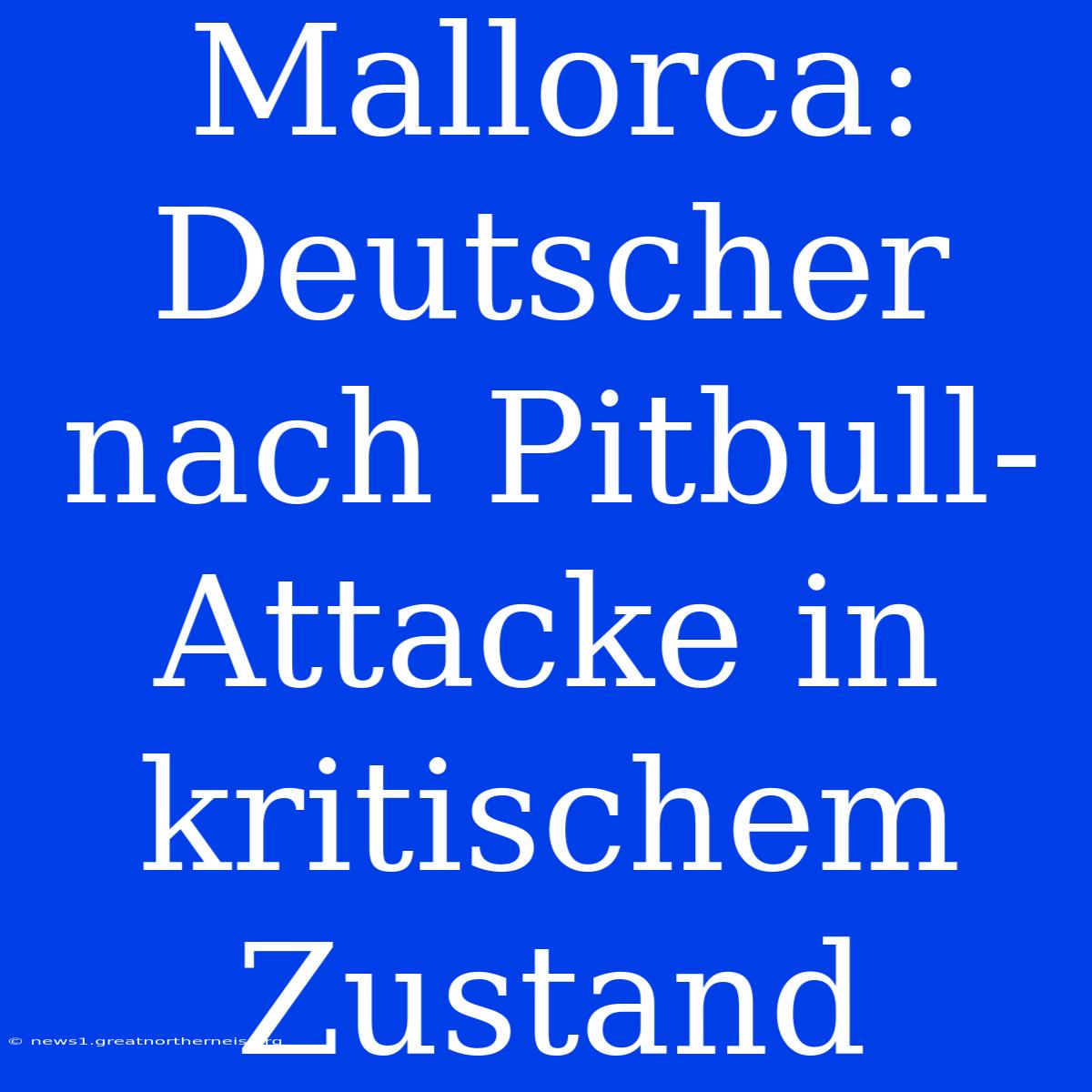 Mallorca: Deutscher Nach Pitbull-Attacke In Kritischem Zustand