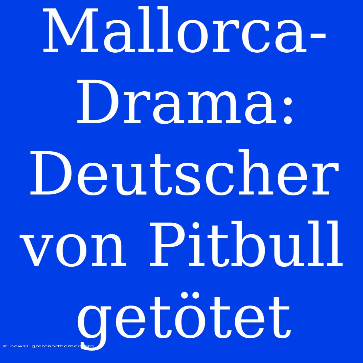 Mallorca-Drama: Deutscher Von Pitbull Getötet