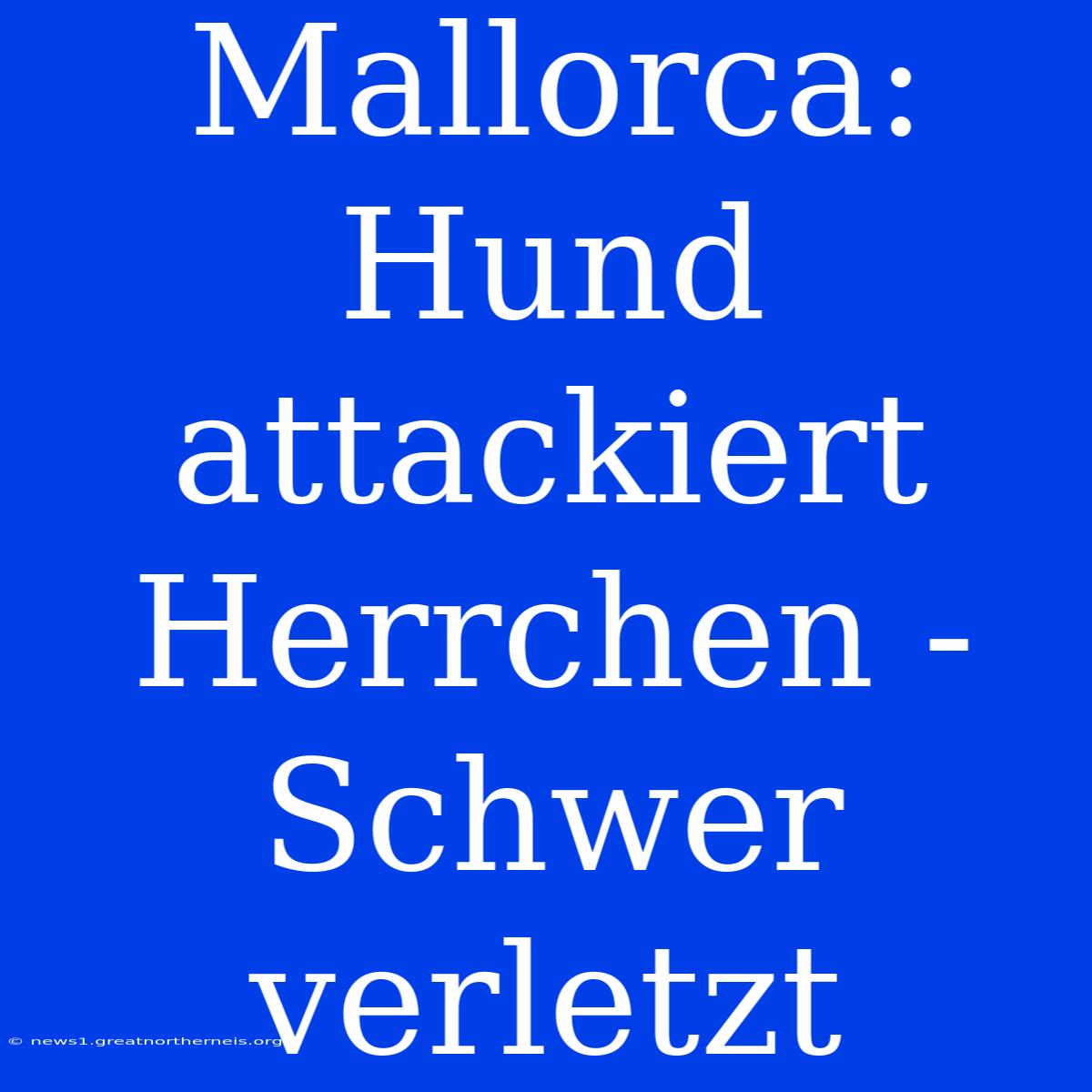 Mallorca: Hund Attackiert Herrchen - Schwer Verletzt