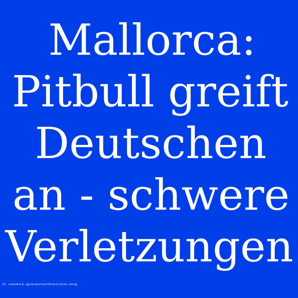 Mallorca: Pitbull Greift Deutschen An - Schwere Verletzungen