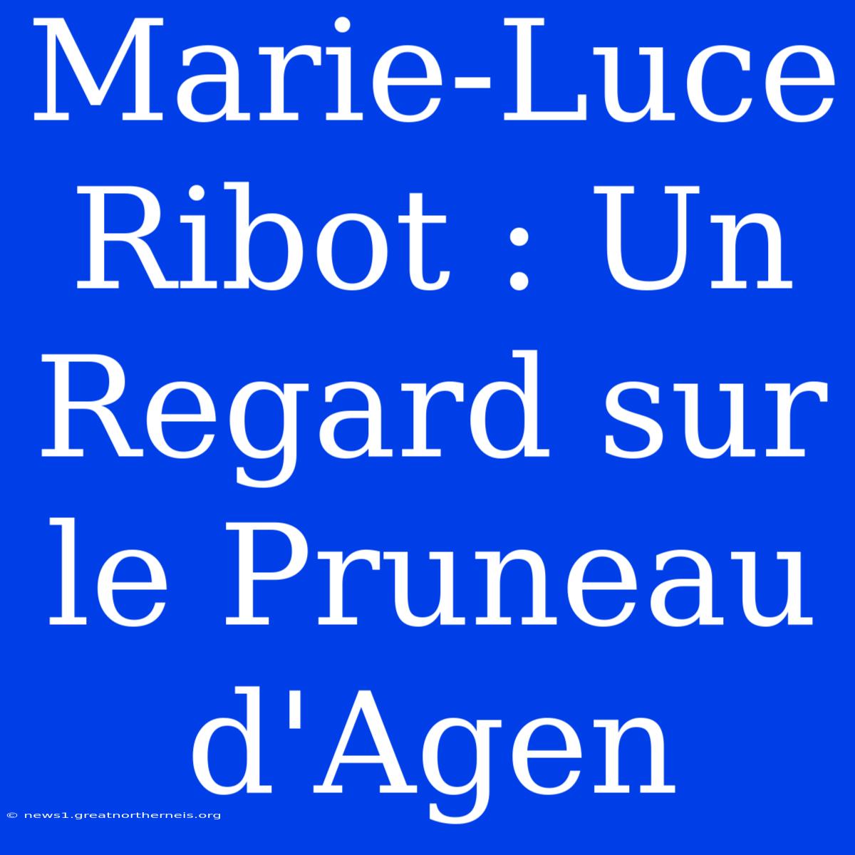 Marie-Luce Ribot : Un Regard Sur Le Pruneau D'Agen