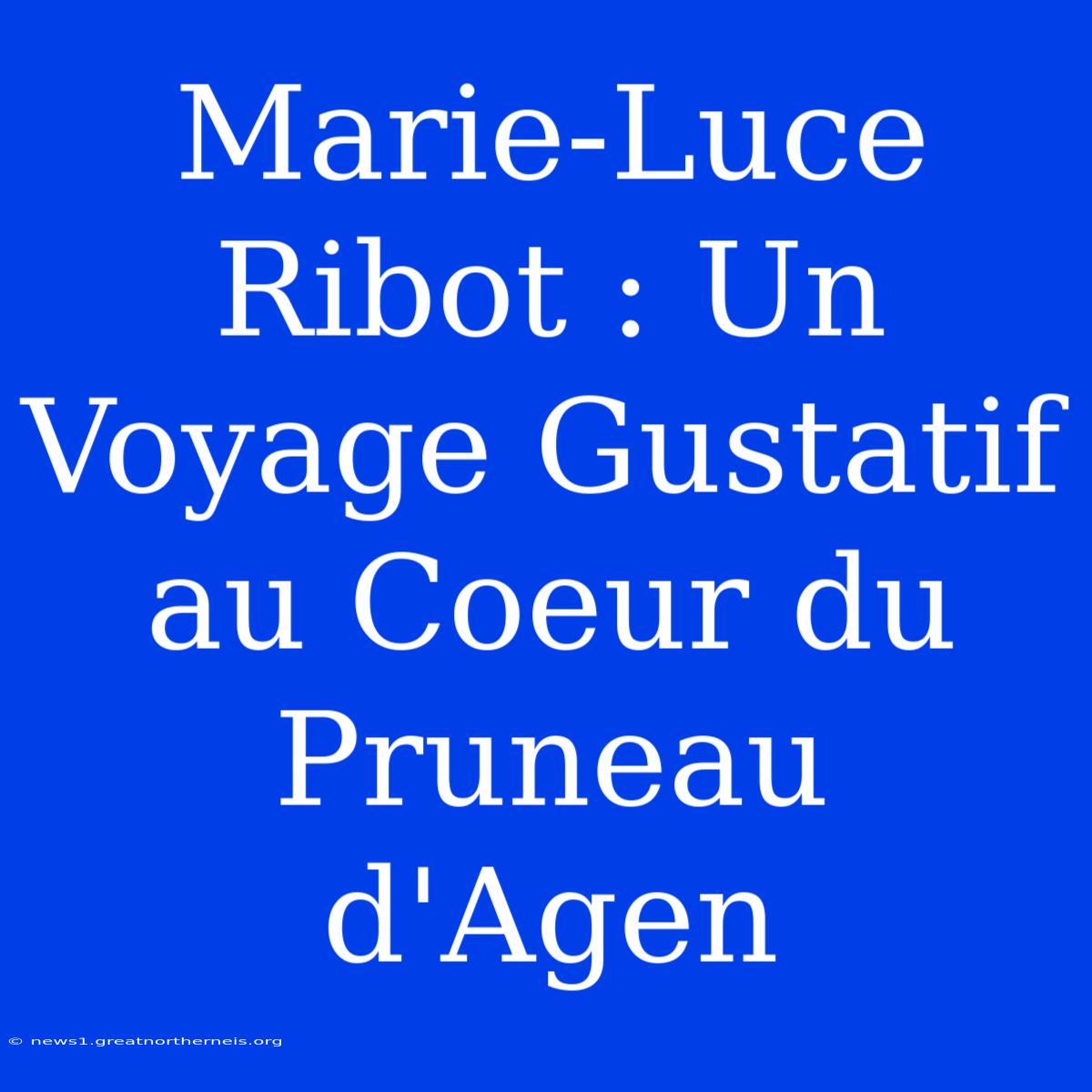 Marie-Luce Ribot : Un Voyage Gustatif Au Coeur Du Pruneau D'Agen