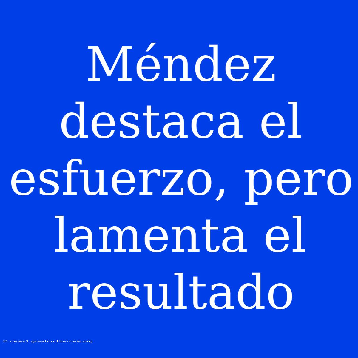 Méndez Destaca El Esfuerzo, Pero Lamenta El Resultado