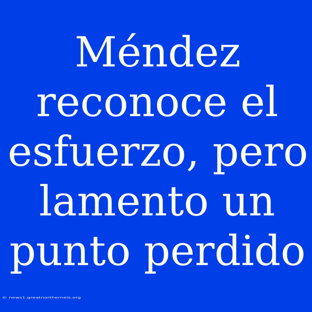 Méndez Reconoce El Esfuerzo, Pero Lamento Un Punto Perdido