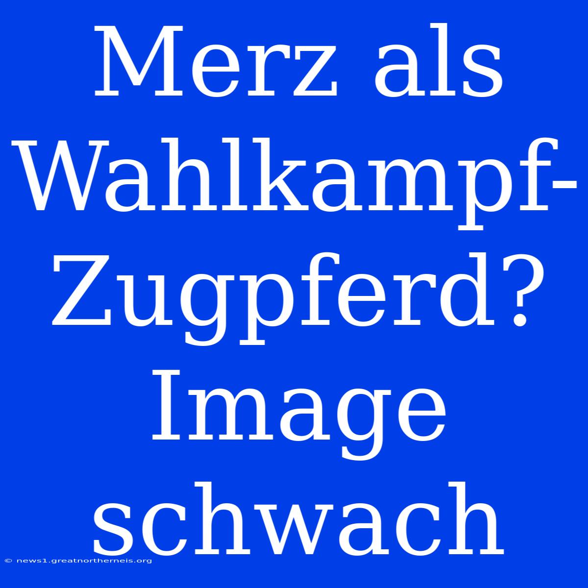 Merz Als Wahlkampf-Zugpferd? Image Schwach