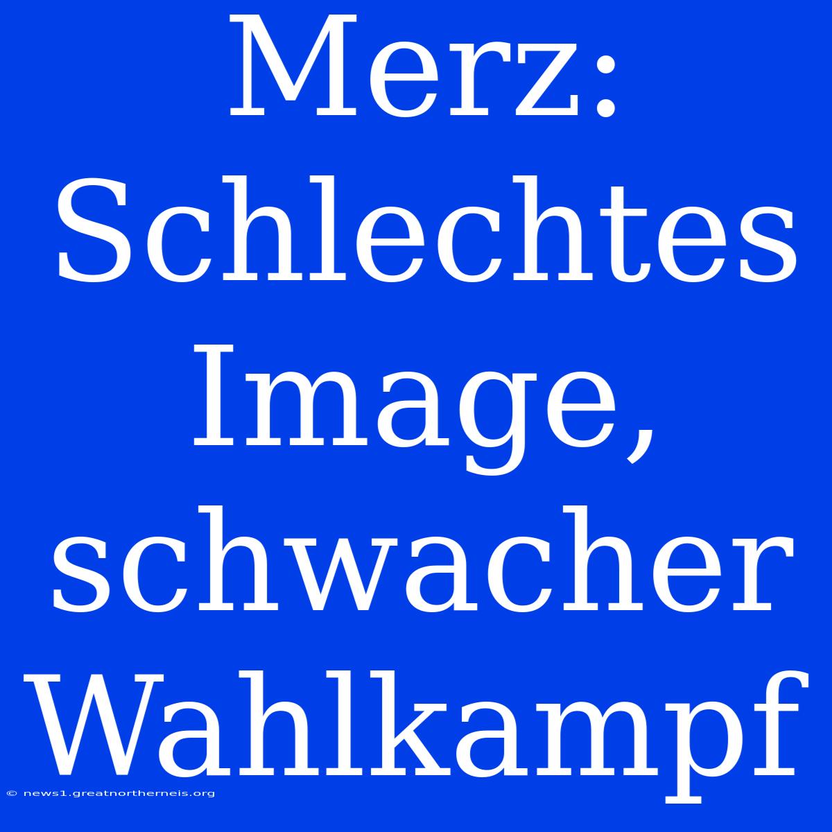 Merz: Schlechtes Image, Schwacher Wahlkampf