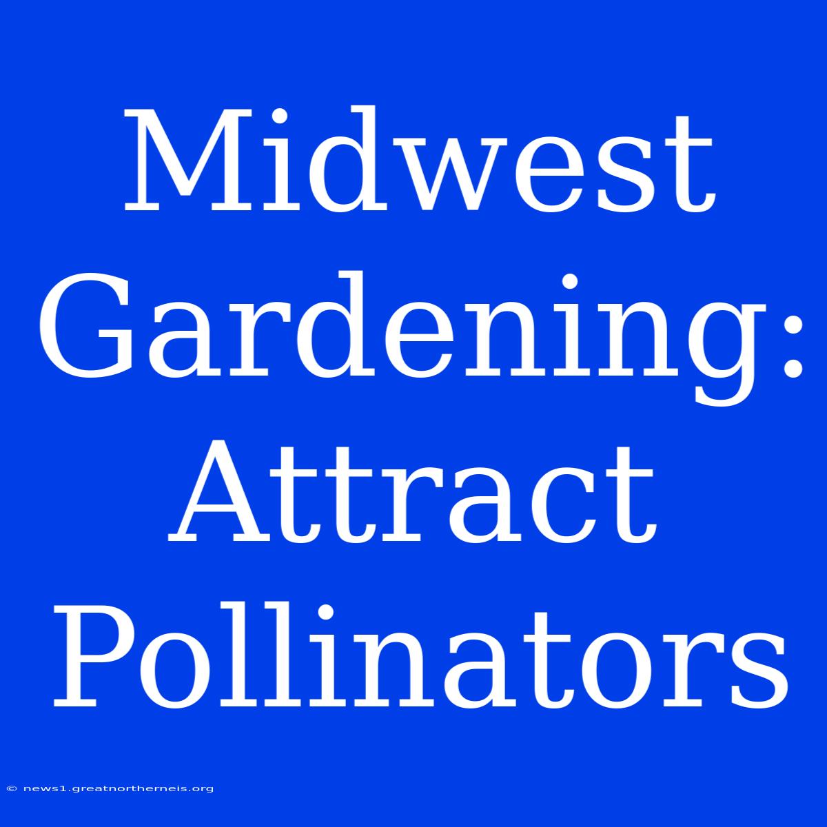 Midwest Gardening: Attract Pollinators