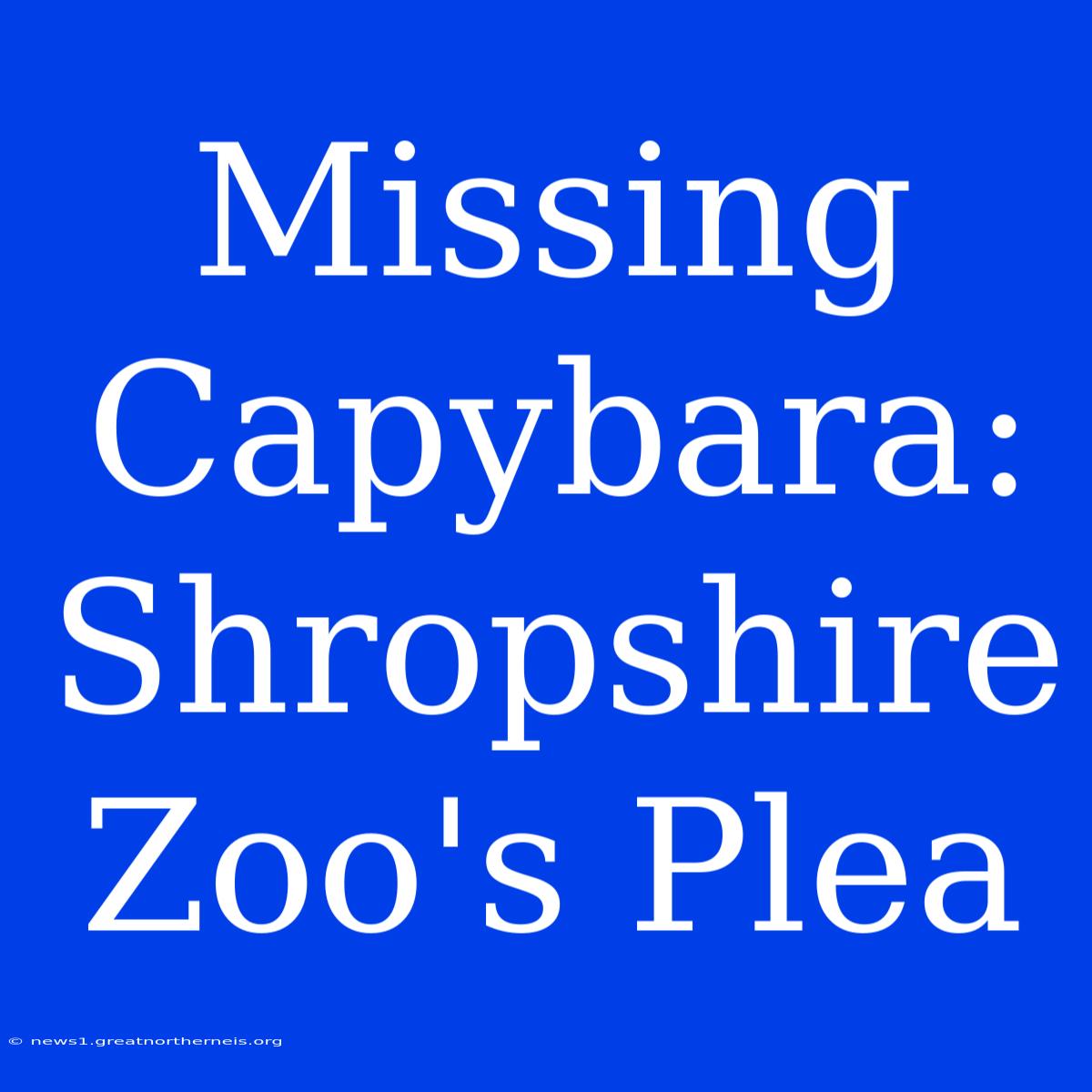 Missing Capybara: Shropshire Zoo's Plea