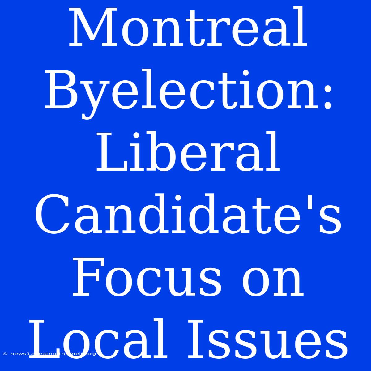 Montreal Byelection: Liberal Candidate's Focus On Local Issues