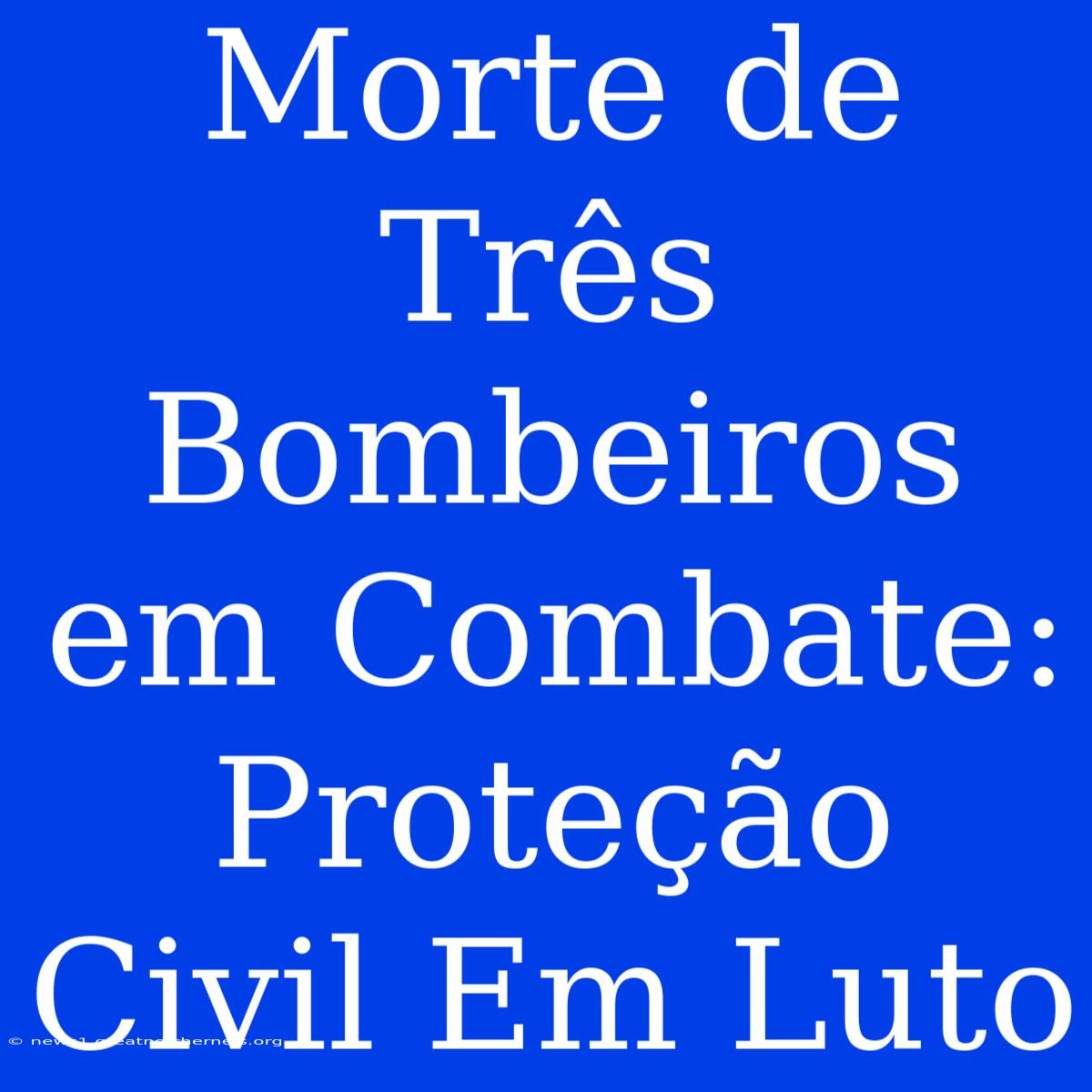 Morte De Três Bombeiros Em Combate: Proteção Civil Em Luto