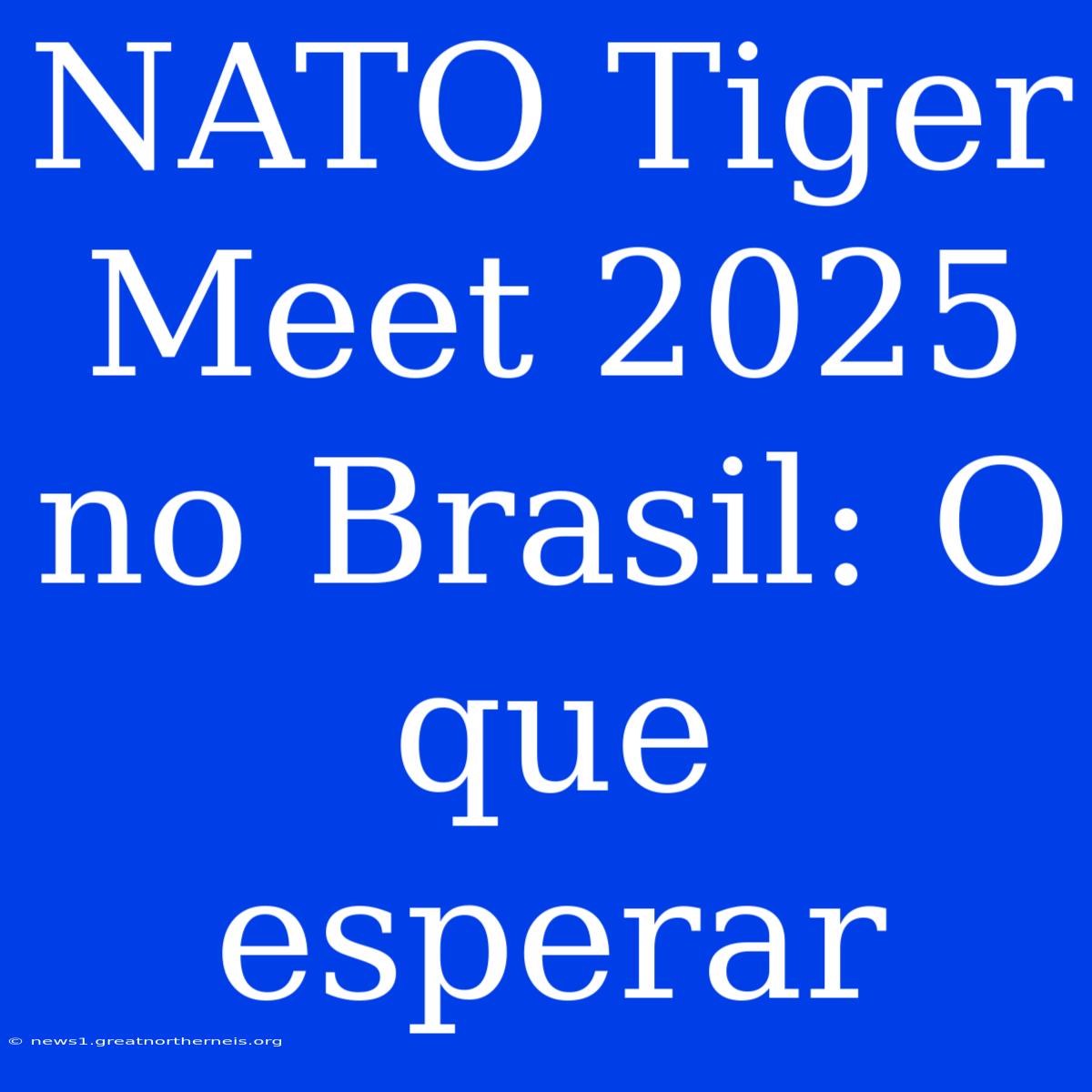 NATO Tiger Meet 2025 No Brasil: O Que Esperar