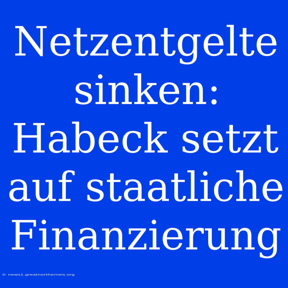 Netzentgelte Sinken: Habeck Setzt Auf Staatliche Finanzierung