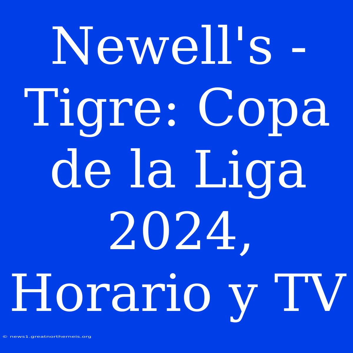 Newell's - Tigre: Copa De La Liga 2024, Horario Y TV