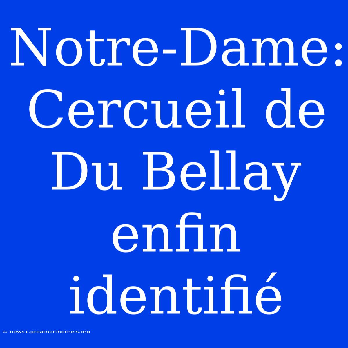 Notre-Dame: Cercueil De Du Bellay Enfin Identifié