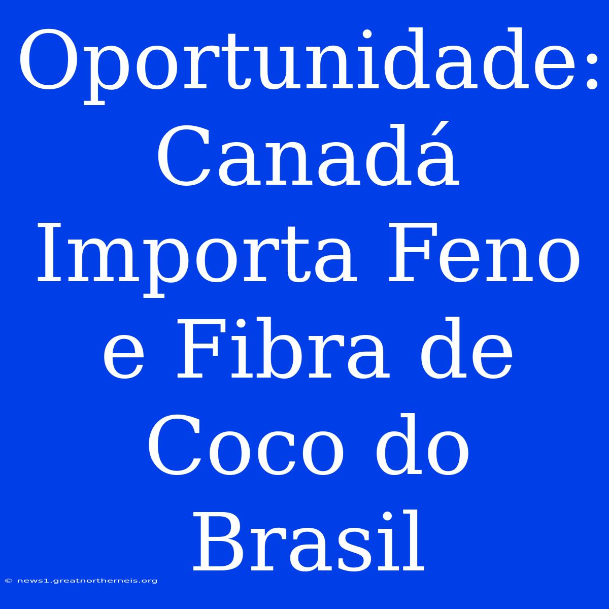 Oportunidade: Canadá Importa Feno E Fibra De Coco Do Brasil