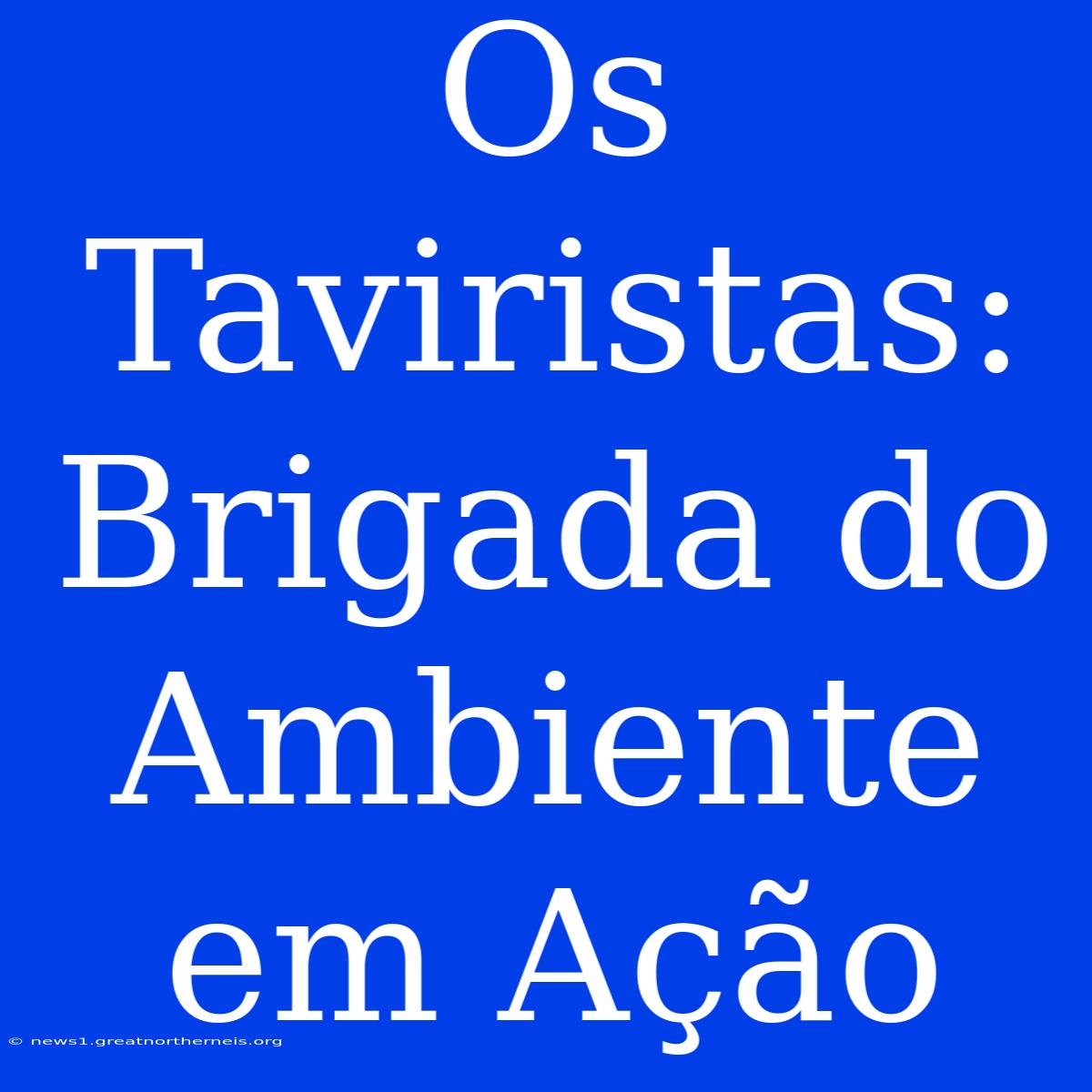 Os Taviristas: Brigada Do Ambiente Em Ação