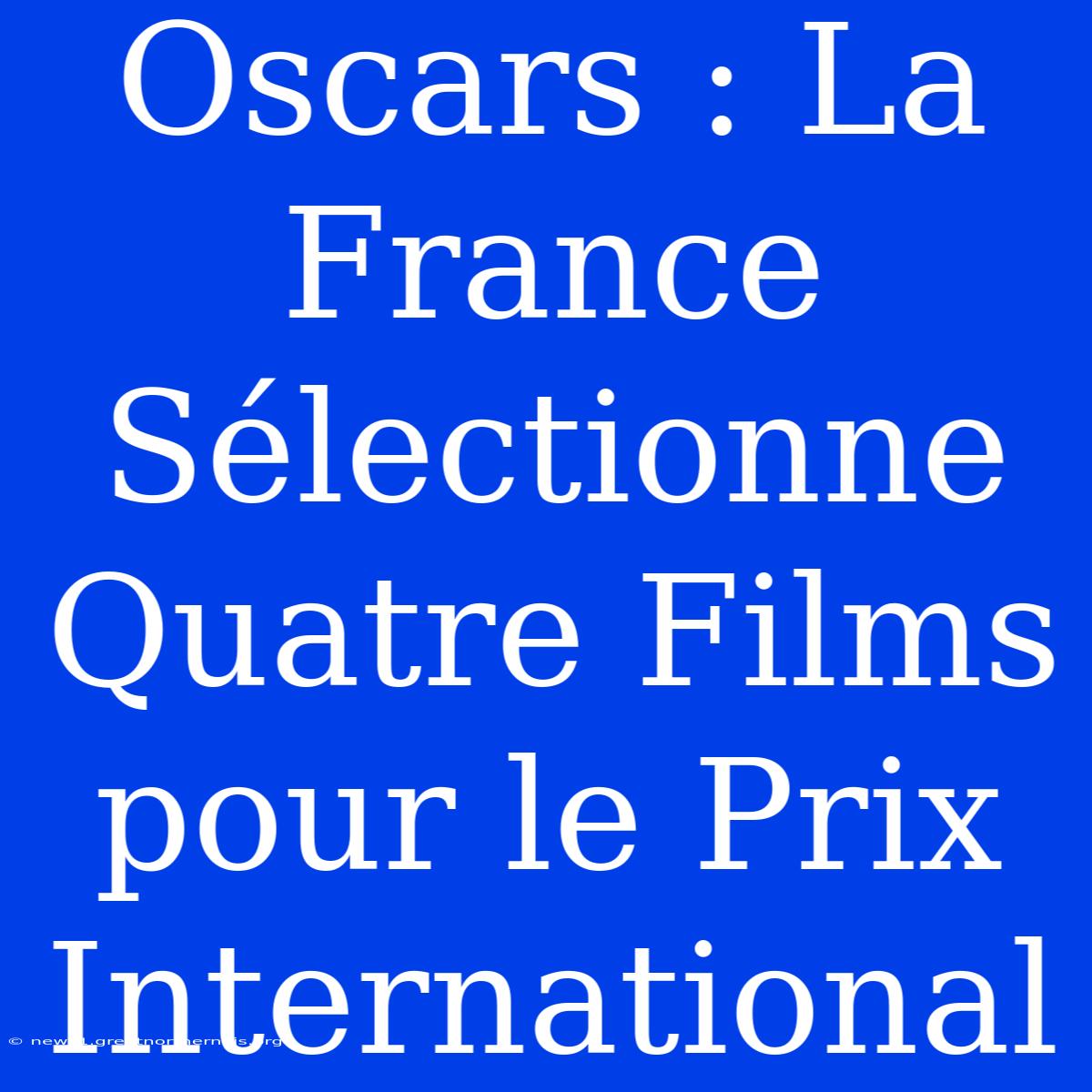 Oscars : La France Sélectionne Quatre Films Pour Le Prix International