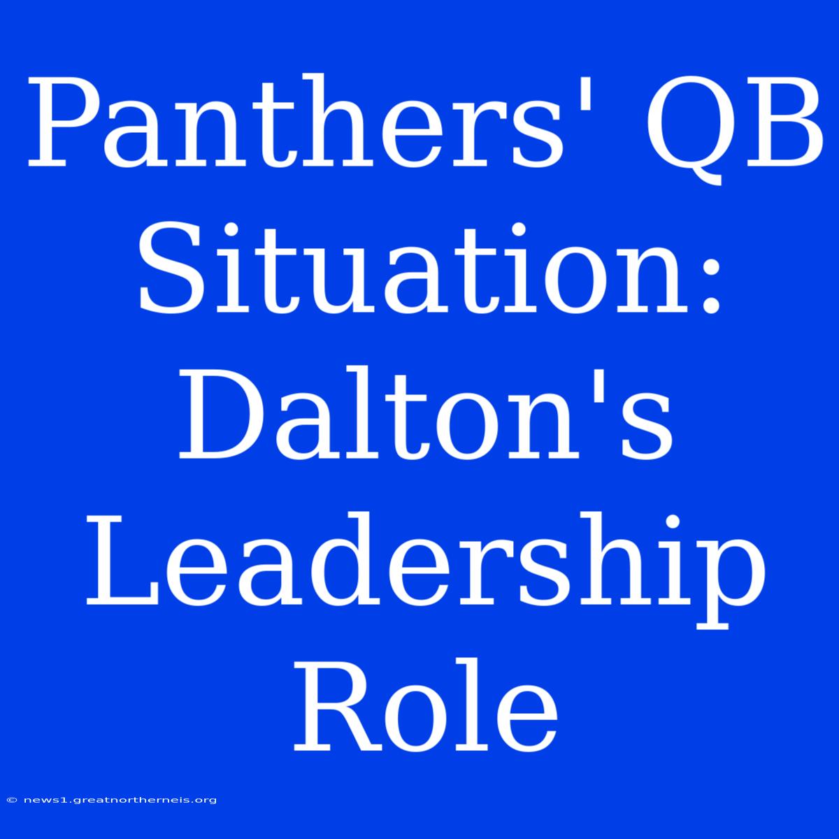 Panthers' QB Situation: Dalton's Leadership Role