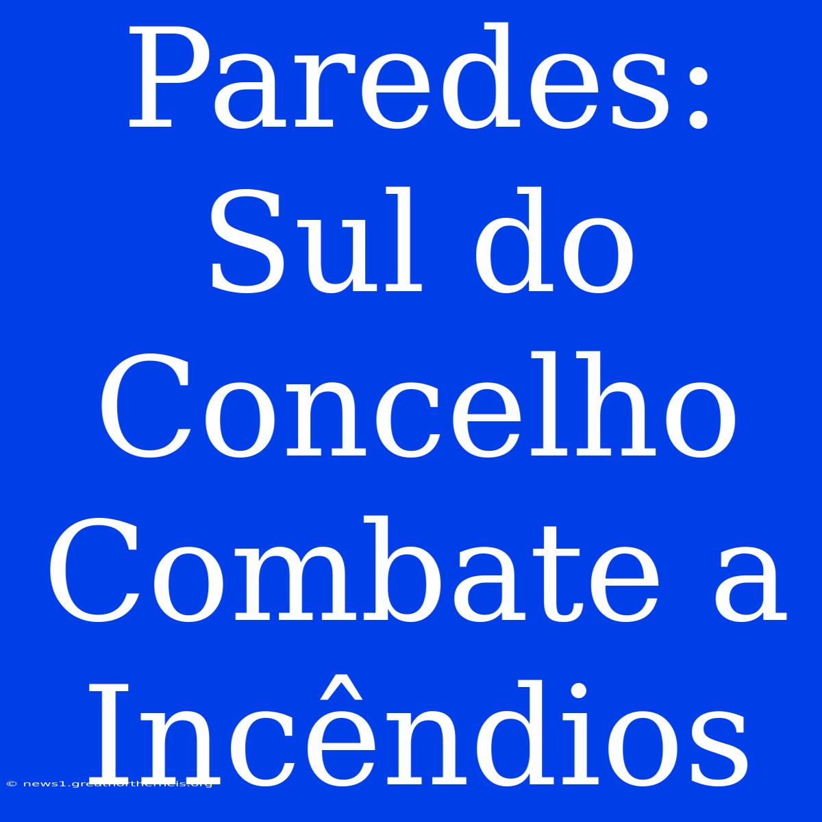 Paredes: Sul Do Concelho Combate A Incêndios